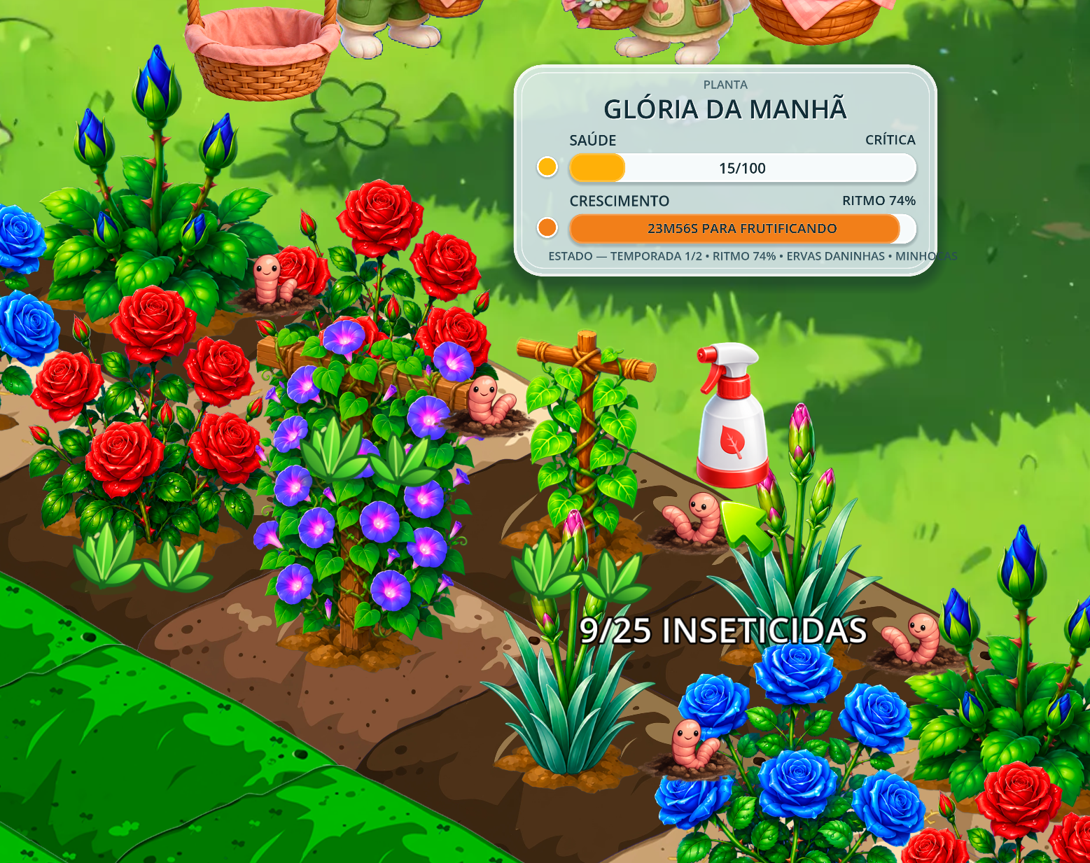 Cuidado das plantas