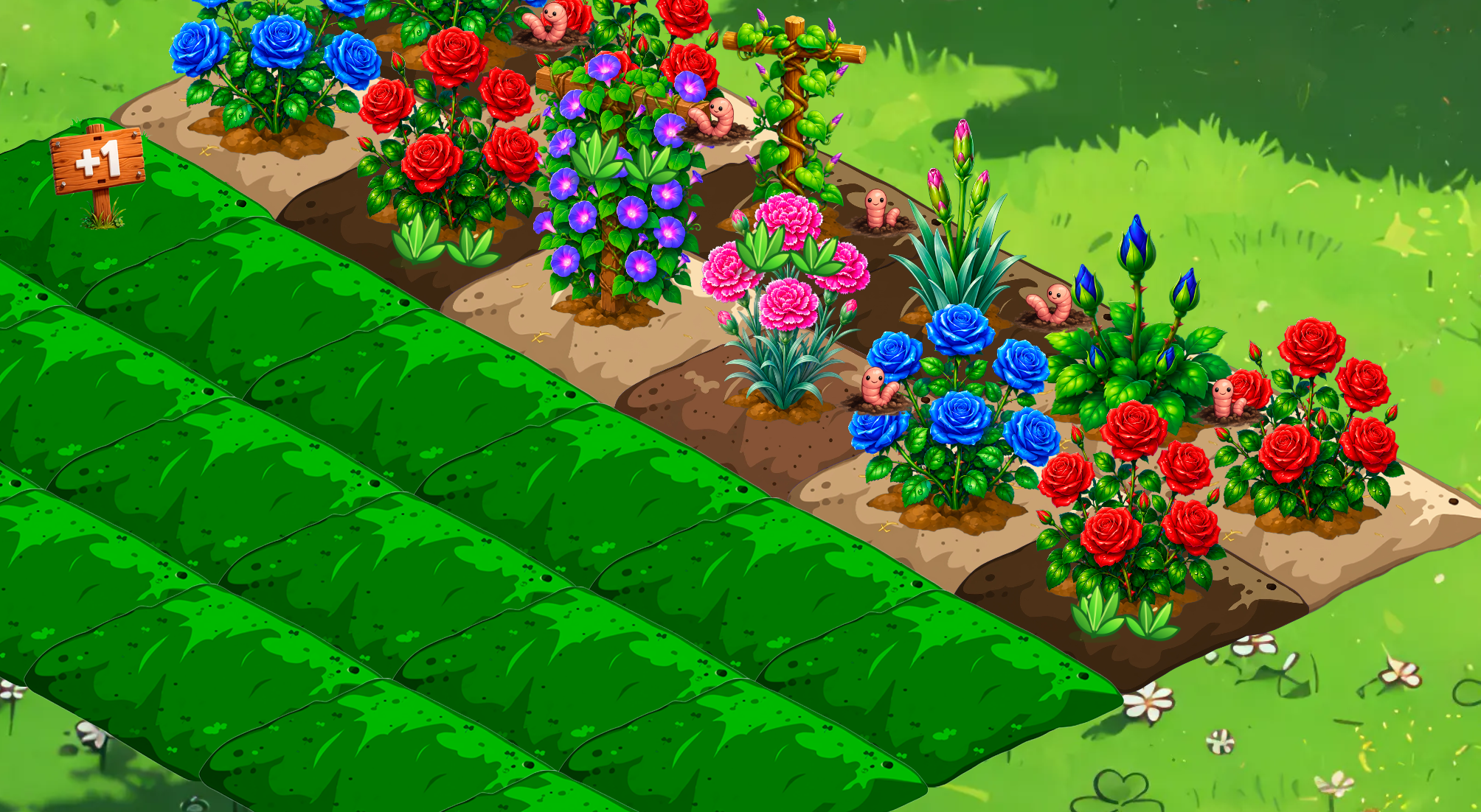 Canteiros de flores